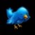 Avatar xxxKAKAOxxx