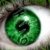 Avatar xsnakexx
