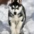 Avatar kitty27