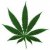 Avatar DjSmOkU
