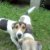 Avatar daniell12345