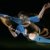 Avatar messi60
