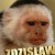 Avatar zdzislaw2012