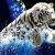 Avatar seahorse