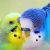 Avatar winx613