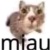 Avatar Toralei11786