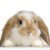 Avatar Olusia2301