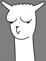 Avatar puchatek12102