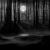 Avatar DarkGPlay
