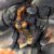 Avatar dark1
