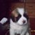Avatar knurek31