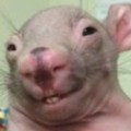 Avatar szymenxd