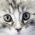 Avatar Sidejka