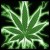 Avatar maja11042000