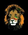 Avatar nieban20