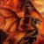 Avatar amatorek123