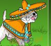 Kundelek w sombrero