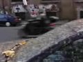 Inwazja ptak�w