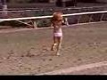 Czarny koń w bikini