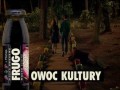 Kupowanie Frugo nocą