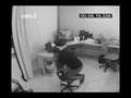 Obrotowe krzes�o