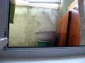 Koci ninja