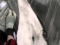 Na zamarzni�tej tamie
