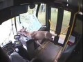 Jelonek uwięziony w autobusie