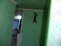 Kot pająk - Spider cat