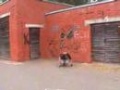 Mistrz Parkour