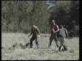 Sasquatch