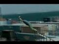 The best of parkour