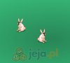 Hodowla kr�lik�w