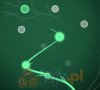 Axon