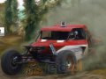 Szybkie buggy