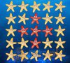 Flip Star
