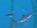 Shark Bait