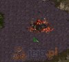 Starcraft