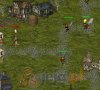 Kr�lestwo owad�w
