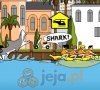 Rekin w Miami