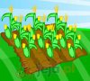 Farm Fun