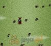 Knights, Beasts & Magic 2