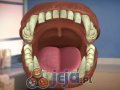 Dentysta