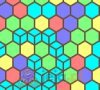 Hexa Connect