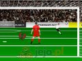 Profesjonalny bramkarz Euro 2012