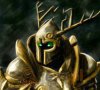 Spirit Fencer