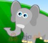 Zoo Fun