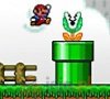 Mario DS