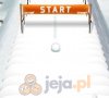 X-treme Snowball Slalom