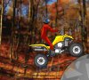 Quad Extreme
